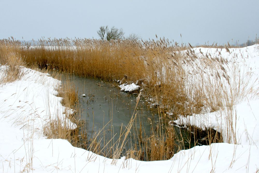 hafflandschaft