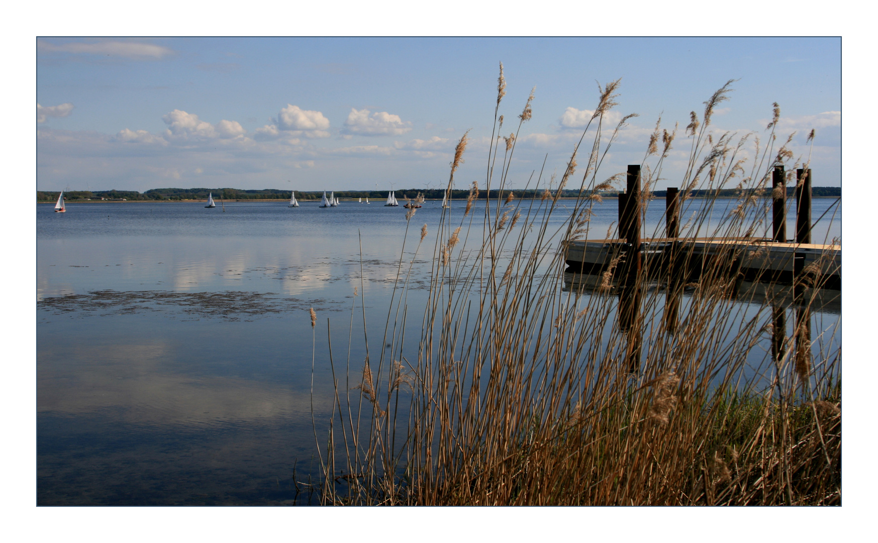 Hafflandschaft im Juni