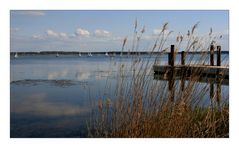 Hafflandschaft im Juni