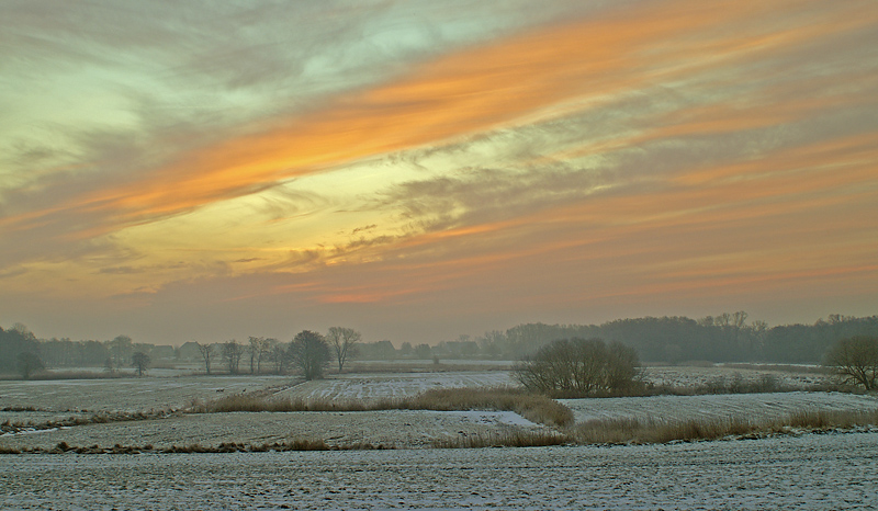 Haffwiesen im Winter