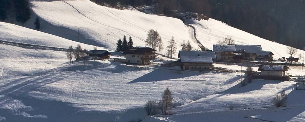 HAFLING IM SCHNEE