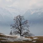 Hafling in Südtirol