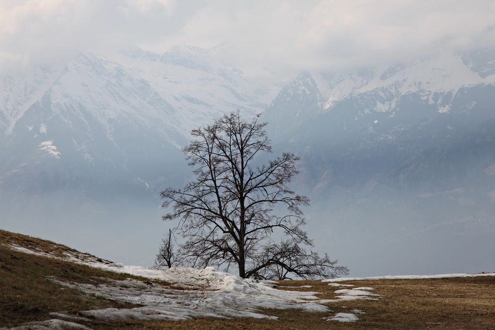 Hafling in Südtirol