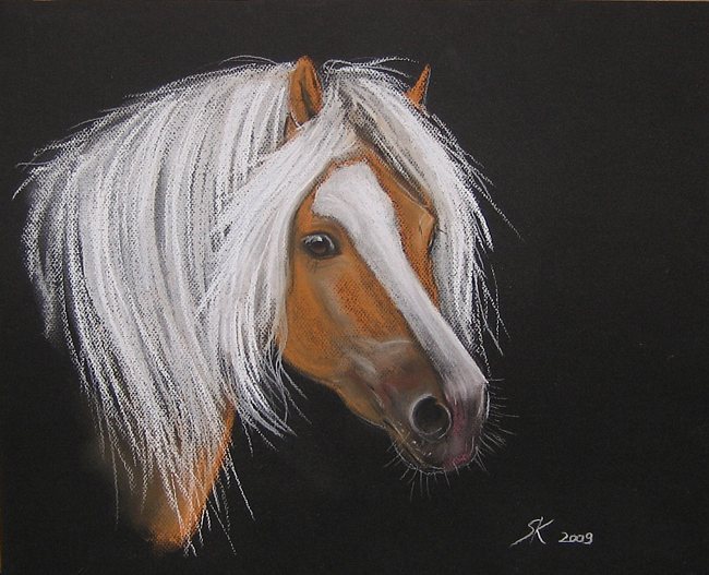 Haflinger