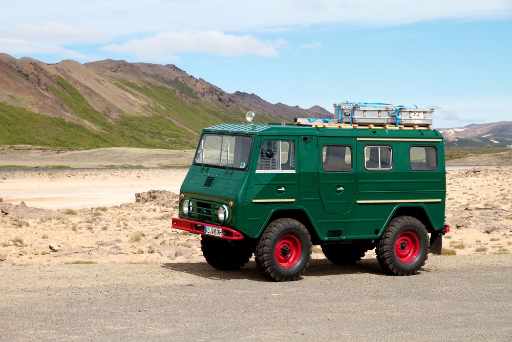 Haflinger on Tour