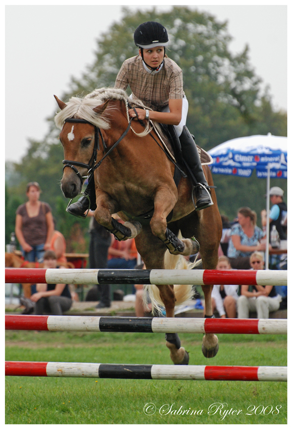 Haflinger Schweizermeisterschaft 2008