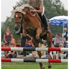 Haflinger Schweizermeisterschaft 2008