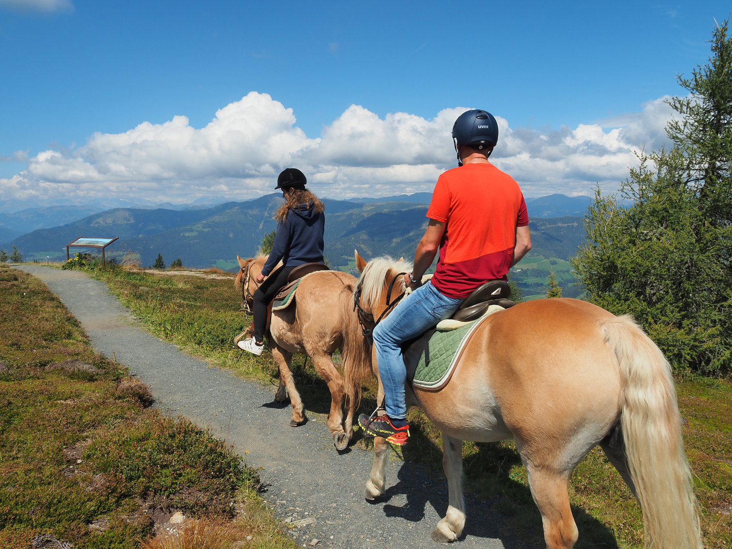 Haflinger unterwegs auf der Gerlitzen.