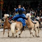 Haflinger Weltausstellung Ebbs