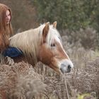 Haflingerwallach Fjalar und seine Reitbeteiligung Sabine