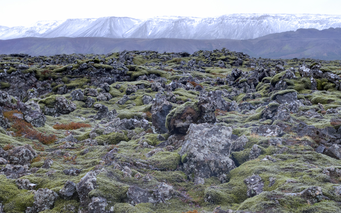 Hafnarfjördur