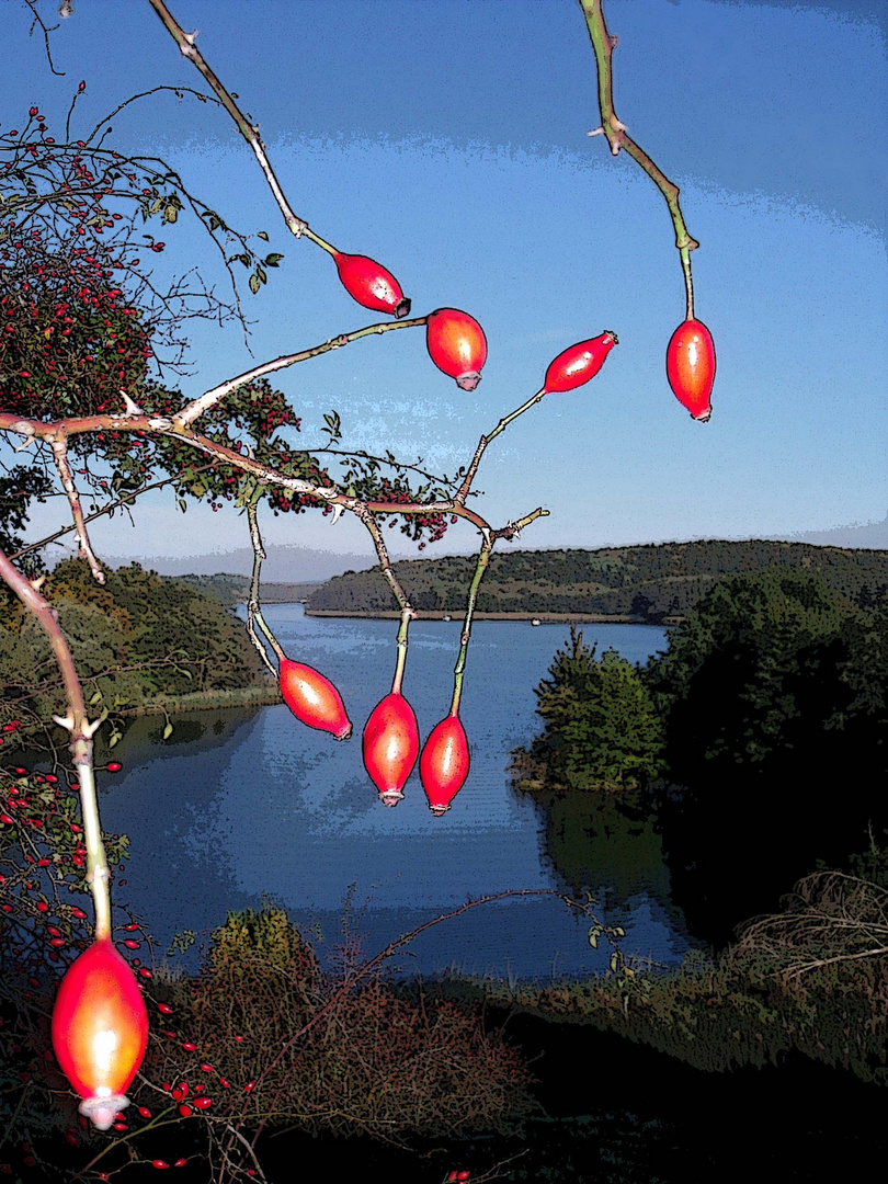 Hagebutten am See