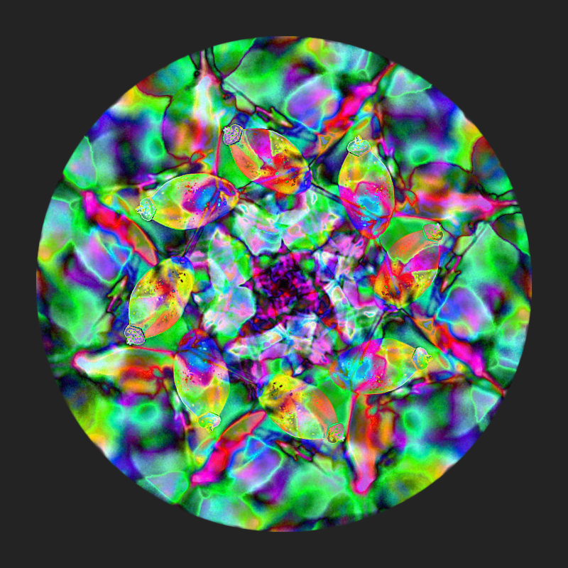 Hagebutten-Kaleidoskop