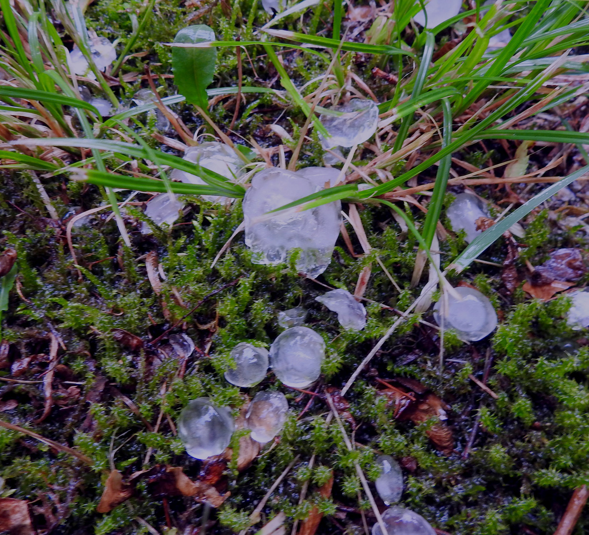 Hagel