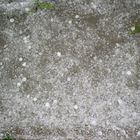 Hagel