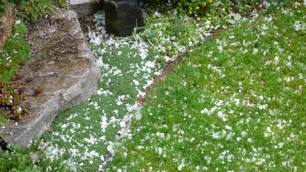 Hagel an Himmelfahrt 2009