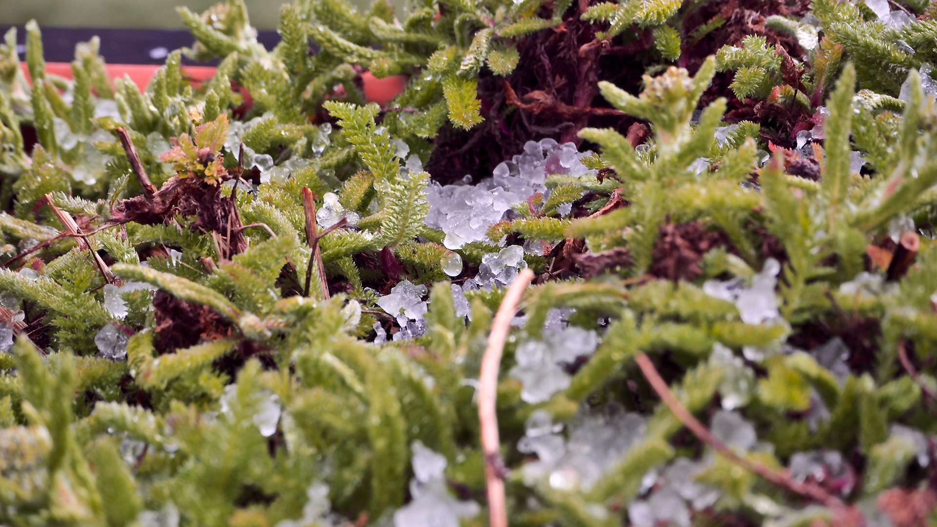 Hagel im April