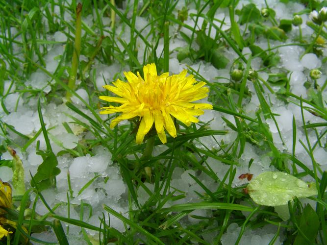 Hagel im Mai 05