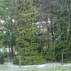 Hagel - Vorhang