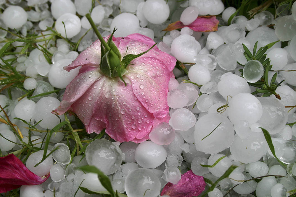 Hagelgewitter am 29. Juni 2005