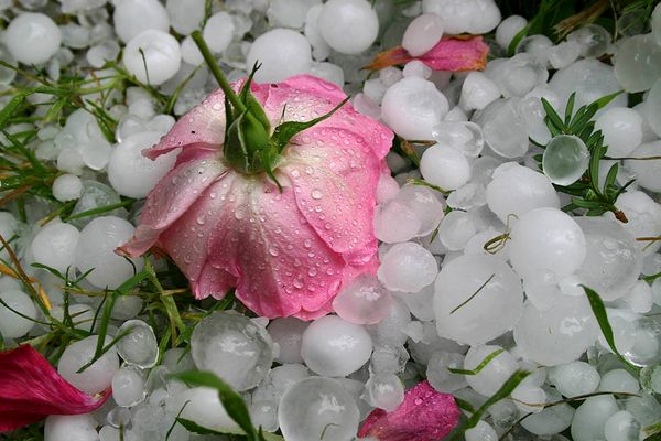 Hagelgewitter am 29. Juni 2005