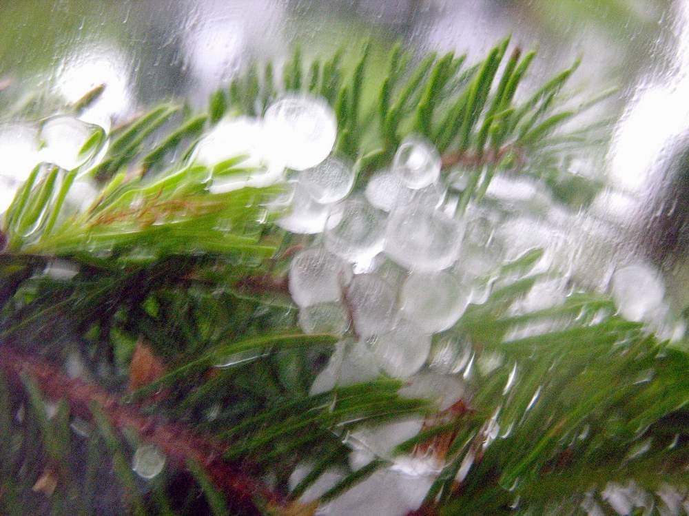 Hagelunwetter von Martin Beutler