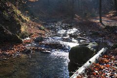 Hagenbach in der Klamm