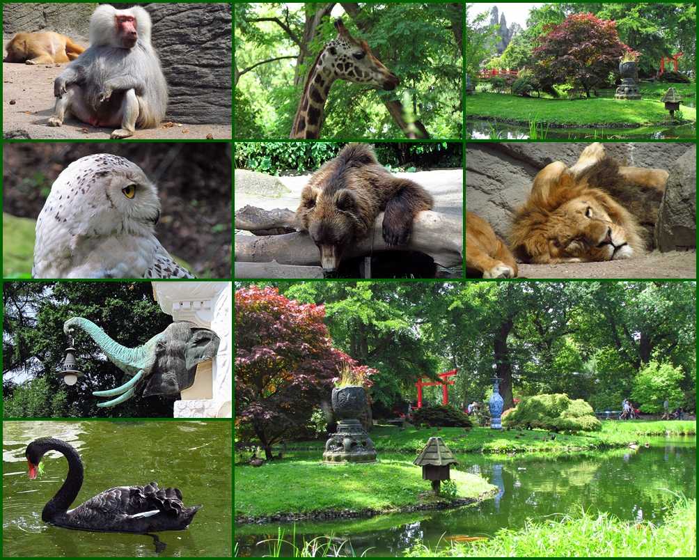 Hagenbeck die Zweite