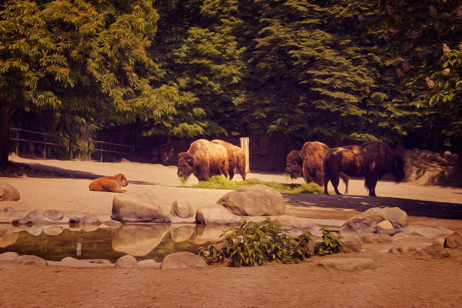 Hagenbeck