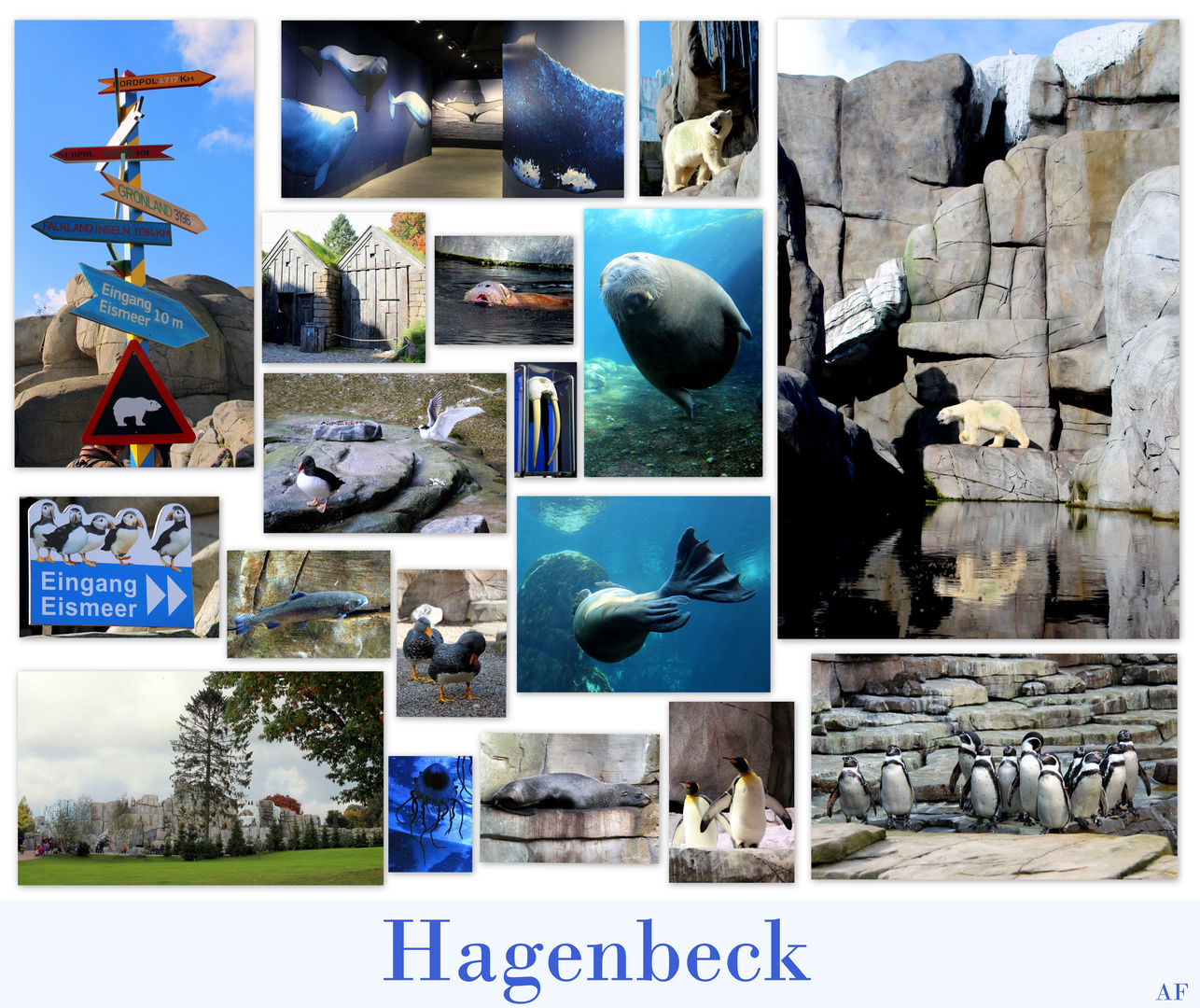 Hagenbeck - Eismeer