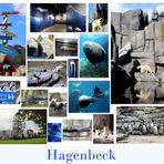 Hagenbeck - Eismeer