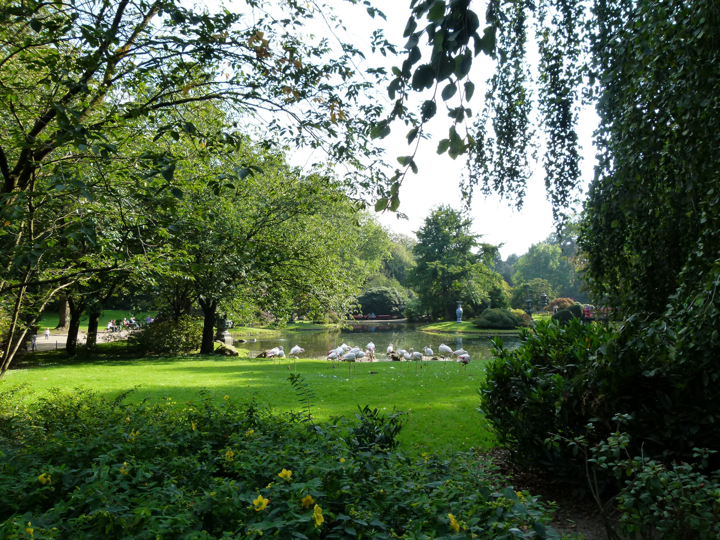 Hagenbeks Tierpark