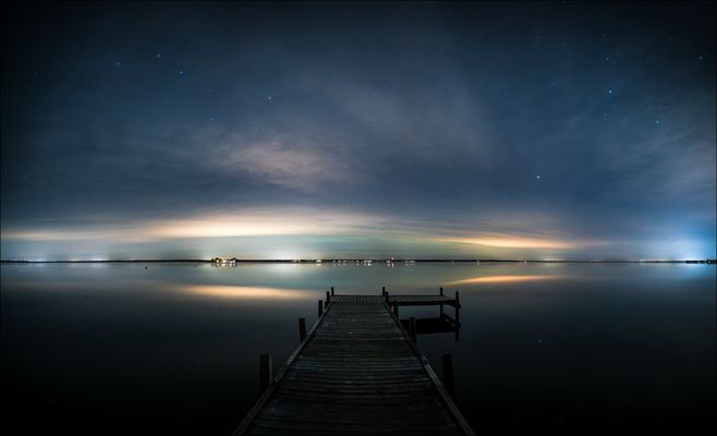 * Hagenburger Starlights *