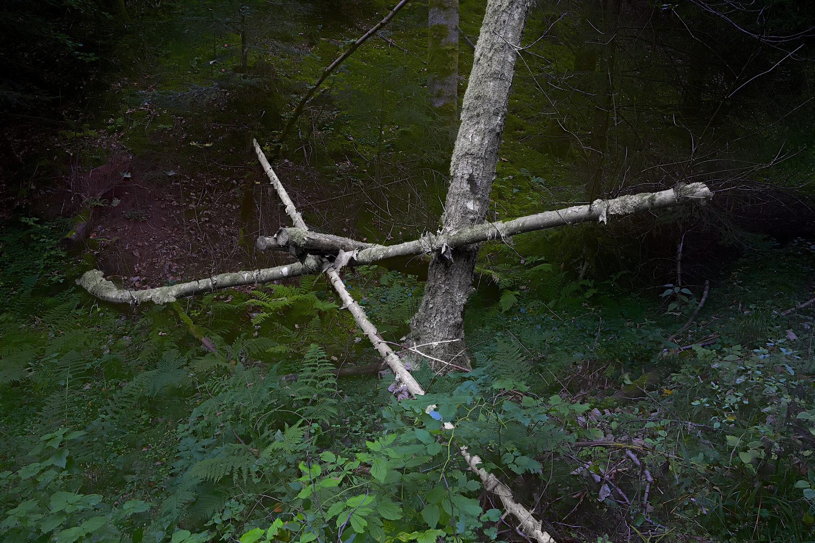 Hagerwald Cross Trunks