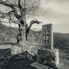 Haghartsin Khachkar