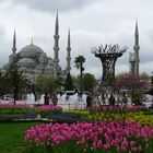 Hagia Sophia zur Zeit des Tulpenfestes