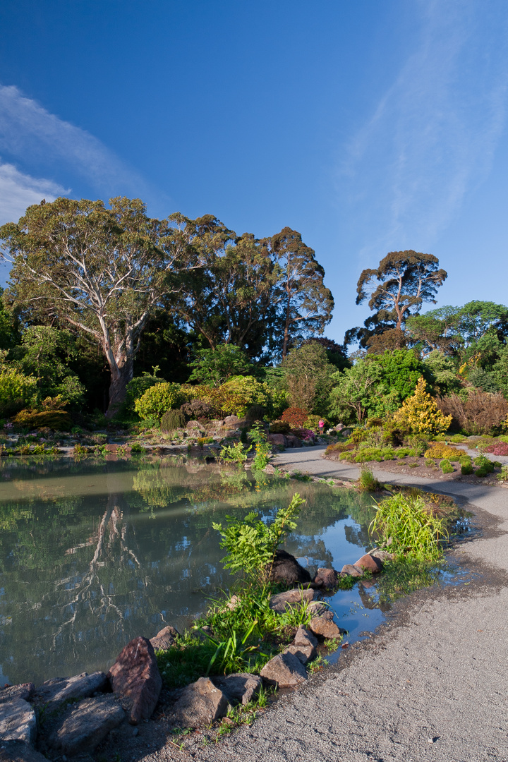 Hagley Park in Christchurch