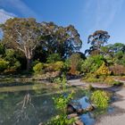 Hagley Park in Christchurch