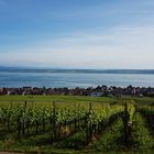 Hagnau am Bodensee