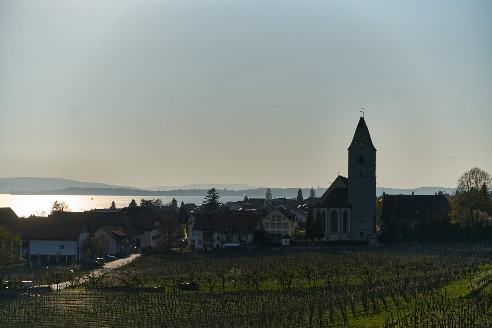 Hagnau im Gegenlicht 