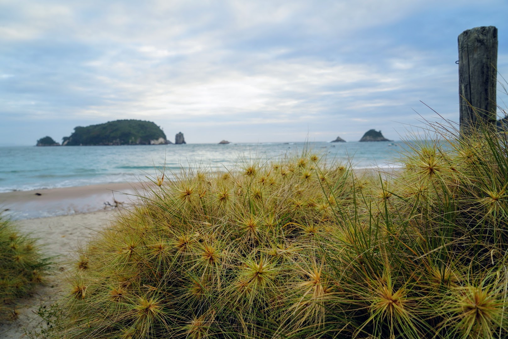 Hahei Beach Coromandel