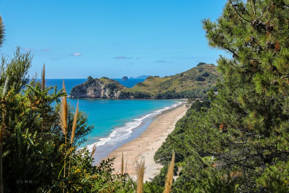 Hahei Beach