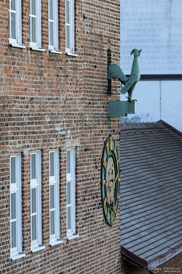 Hahn am Stadtmarkt Augsburg