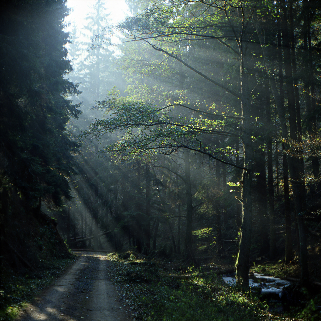 Hahnenbachtal bei Schmidthachenbach