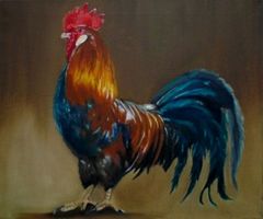 Hahn(ibal)