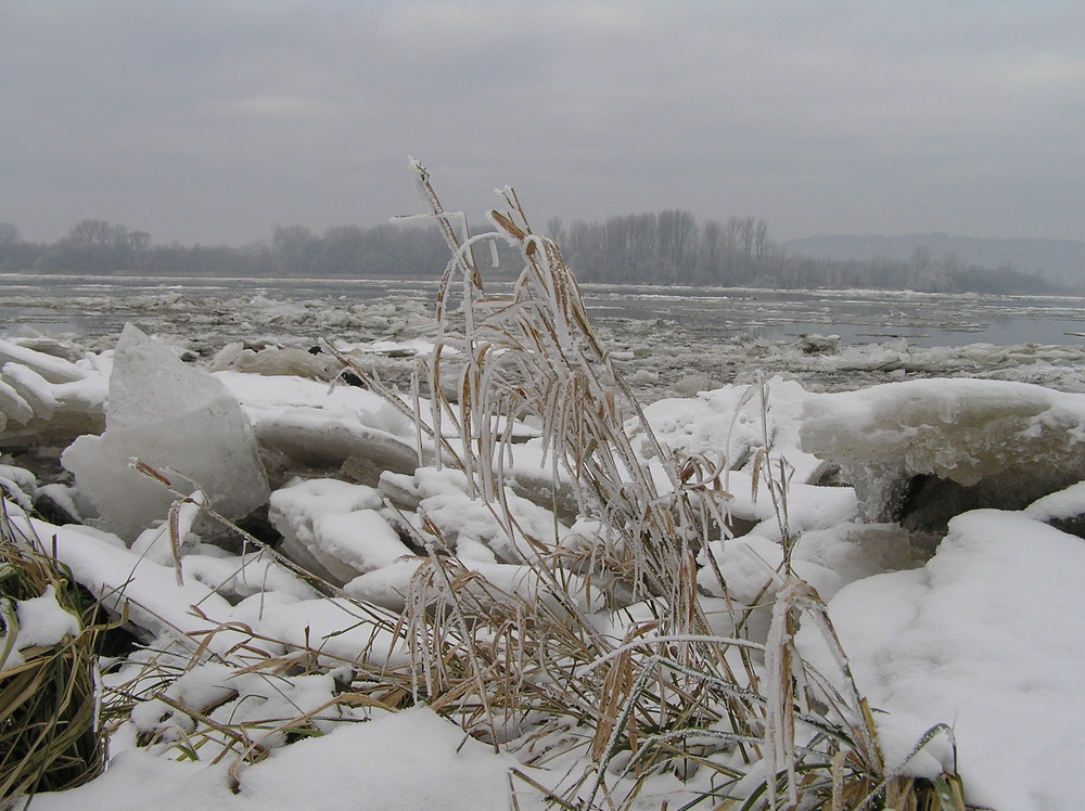 Hahnöfer Nebenelbe bei Harburg.