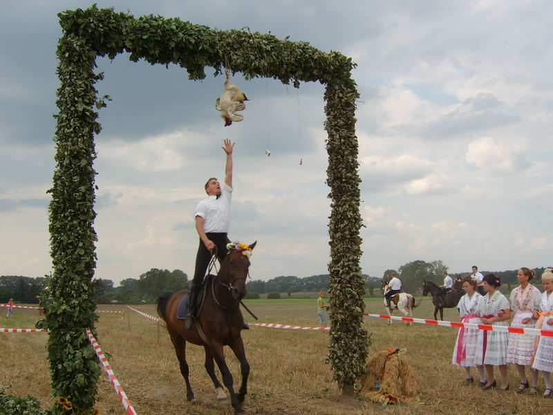 Hahnrupfen