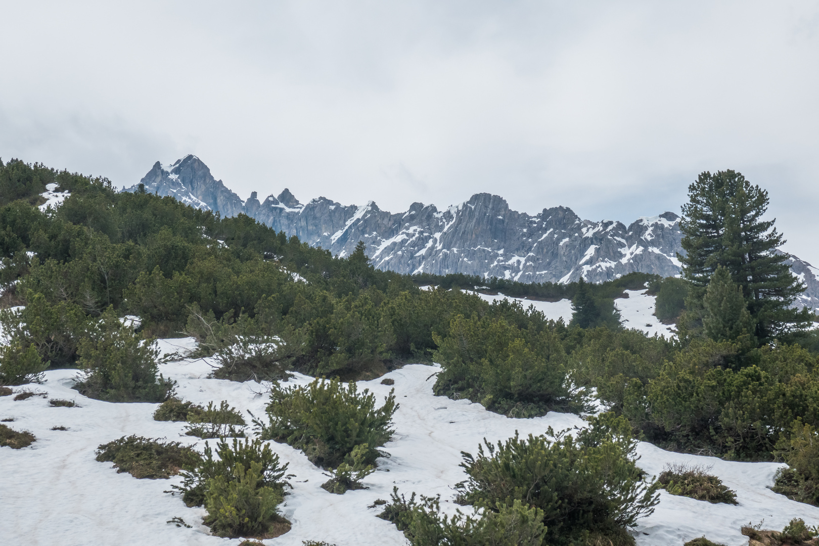 Hahntenjoch / Mai 2023 / Tirol