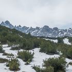 Hahntenjoch / Mai 2023 / Tirol