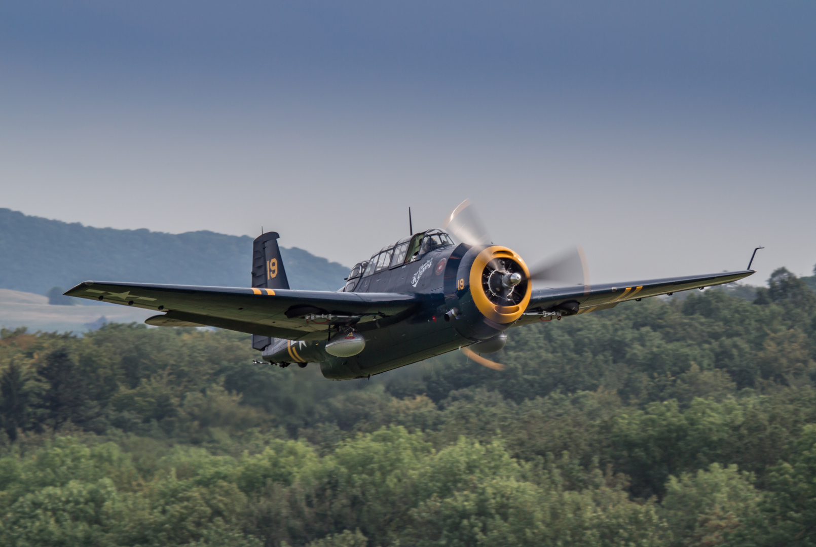 Hahnweide 2013 Grumman Avenger